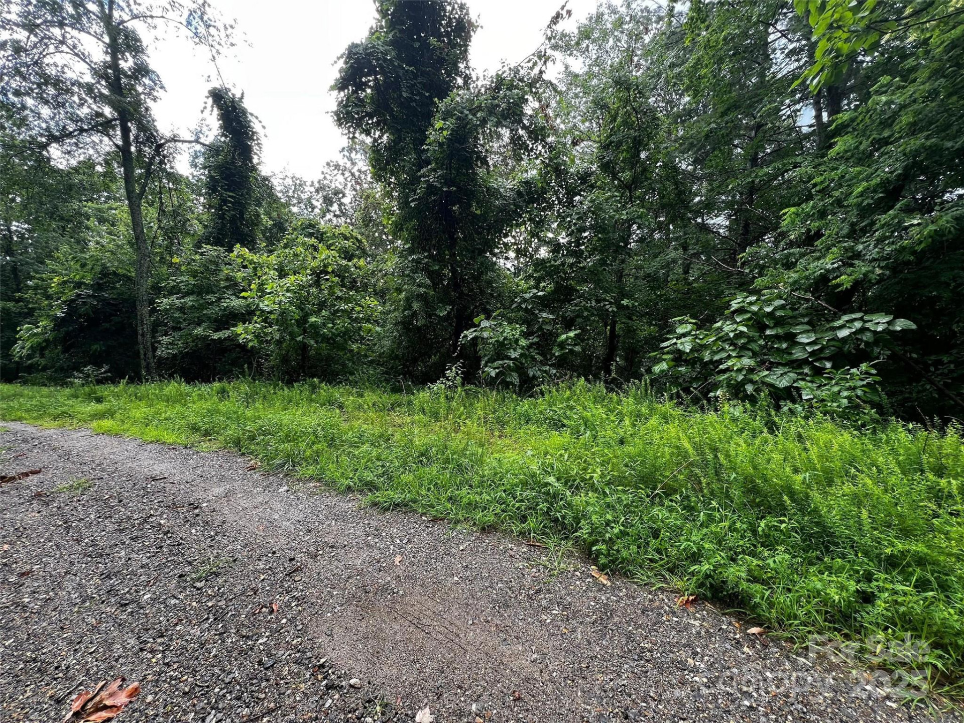 99999 Rising Sun Road #86 - Photo 2