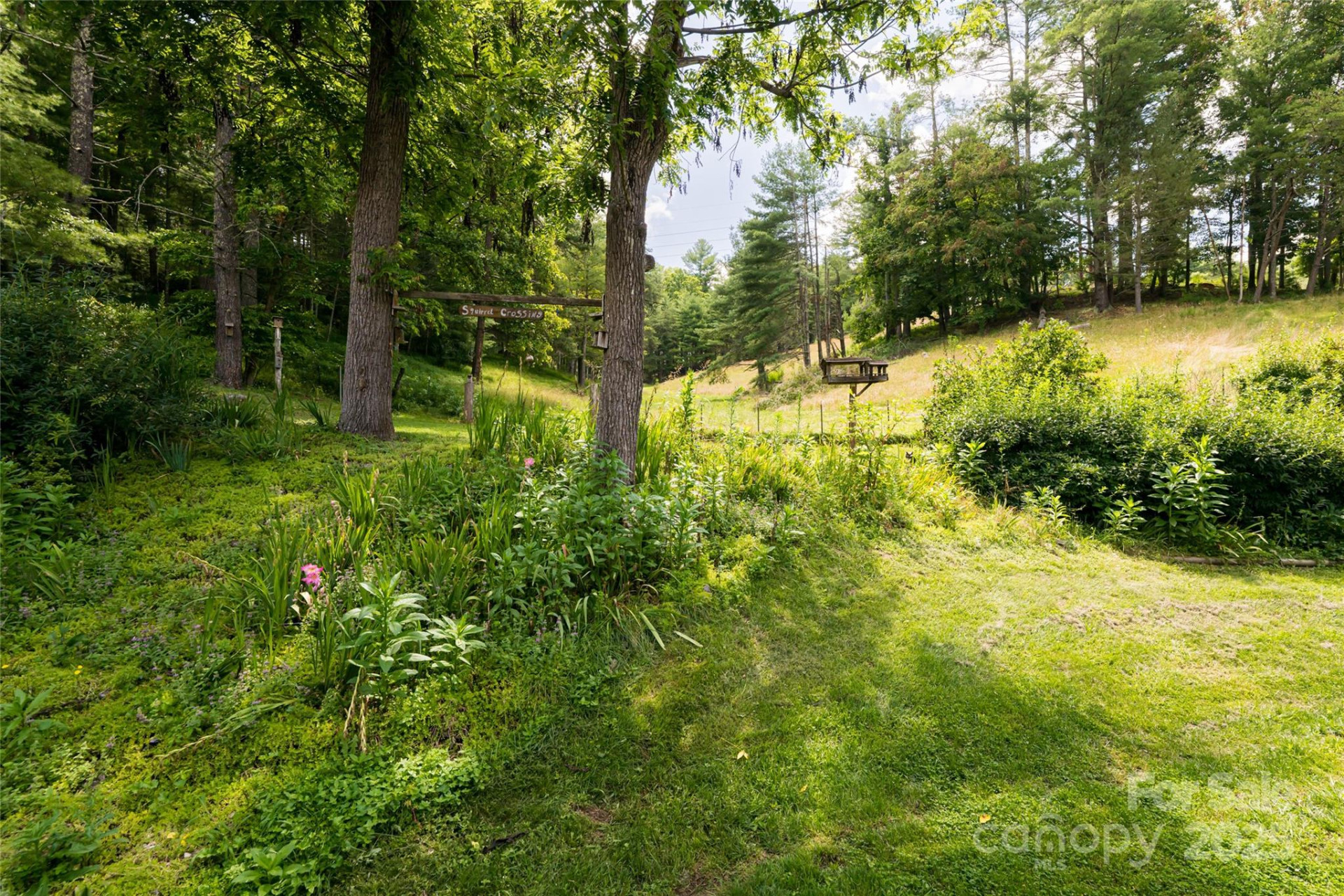 25 Elkins Branch Road - Photo 20