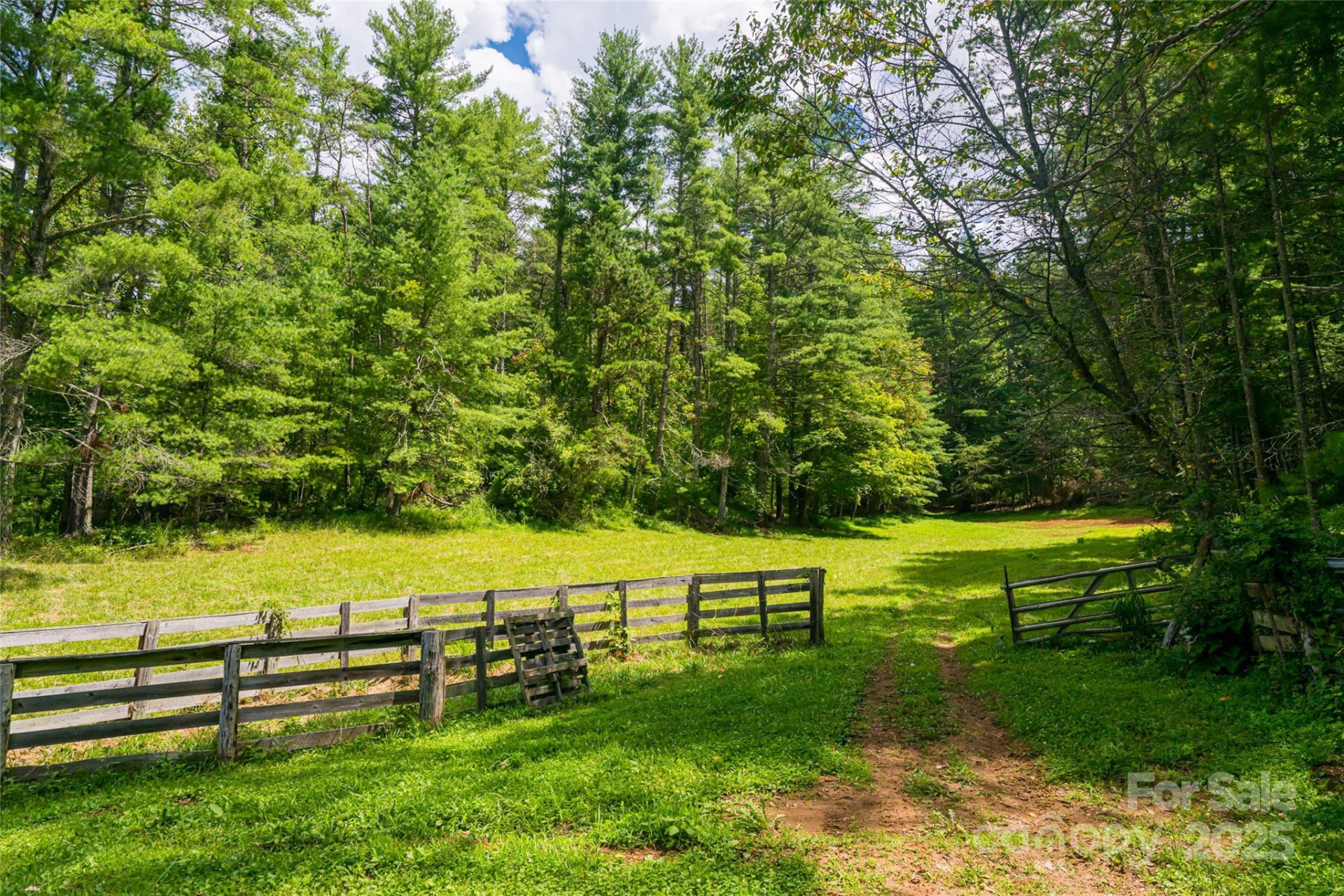 25 Elkins Branch Road - Photo 31