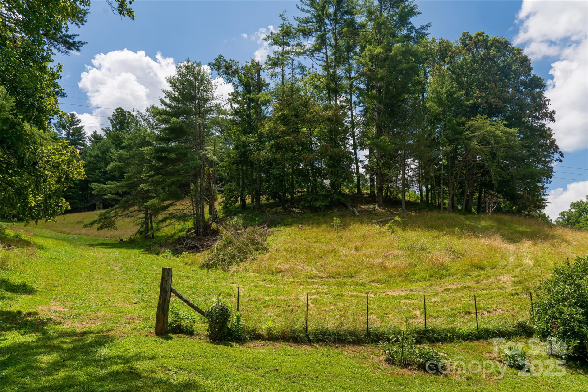 25 Elkins Branch Road - Photo 32