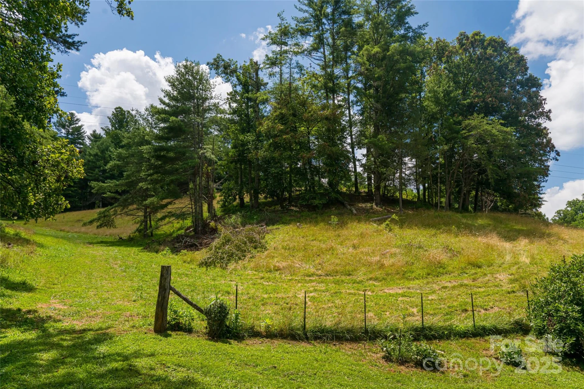 25 Elkins Branch Road - Photo 32