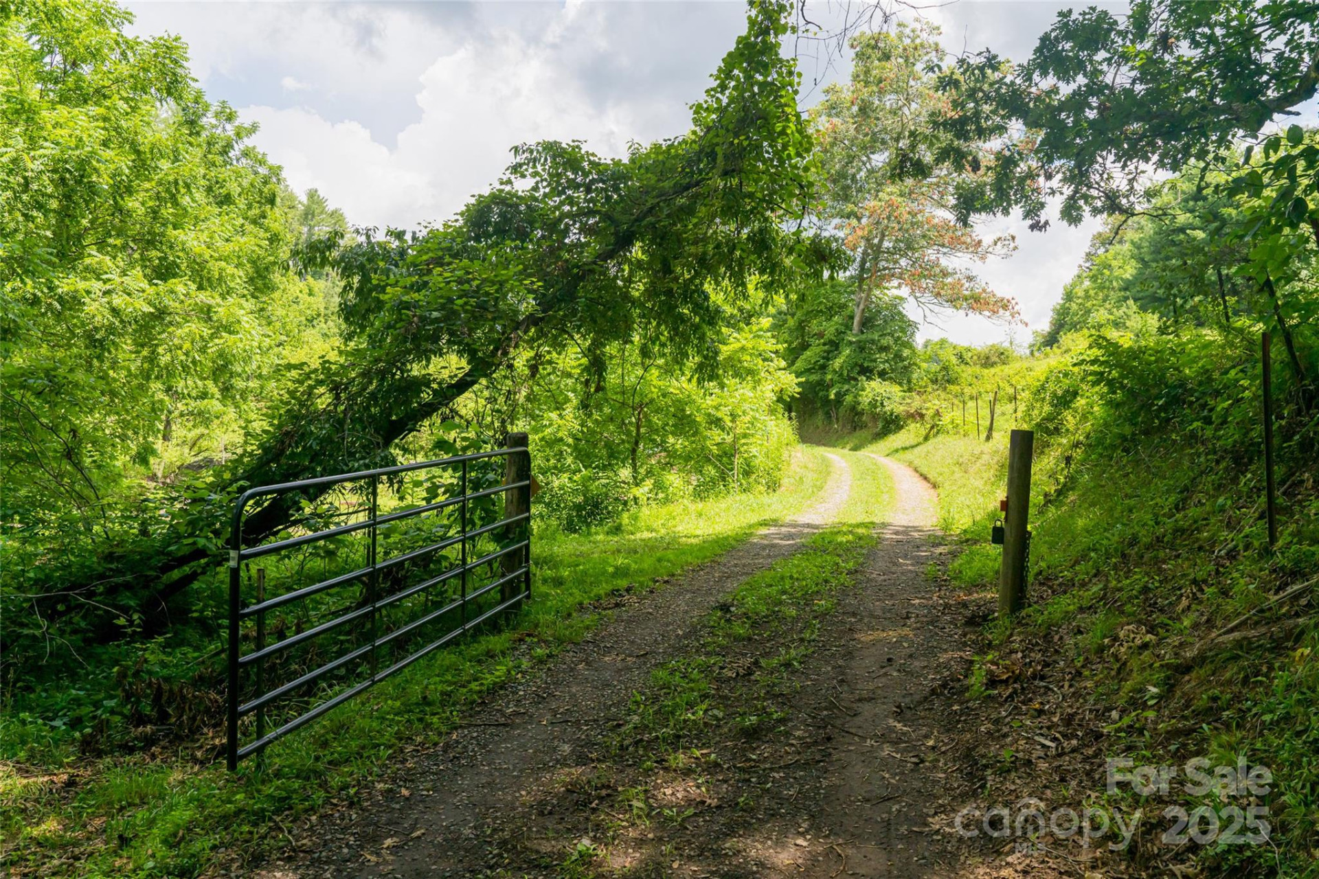 25 Elkins Branch Road - Photo 35