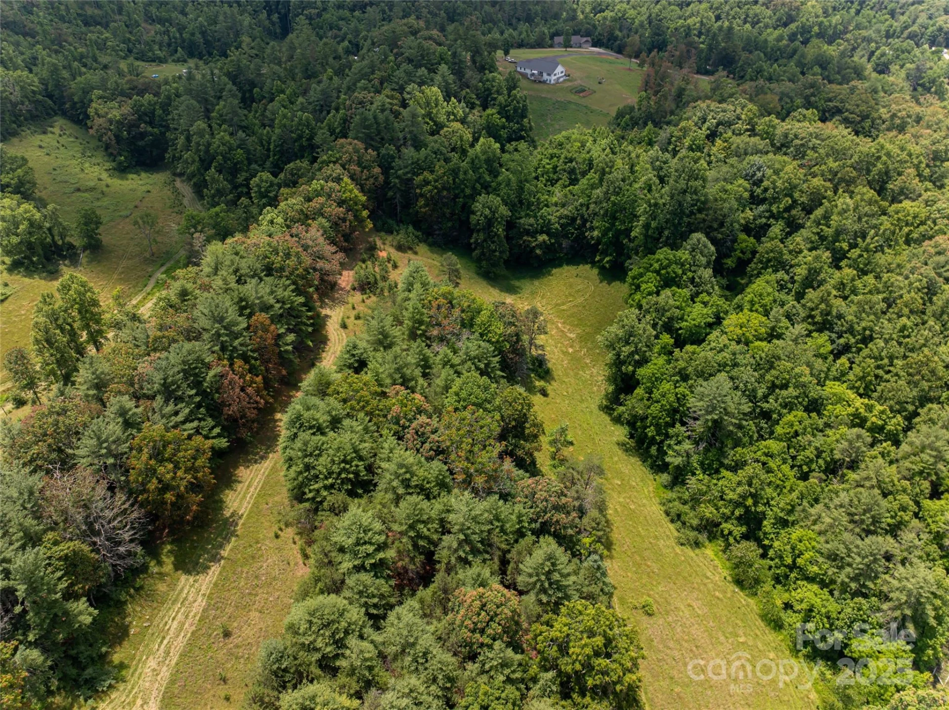 25 Elkins Branch Road - Photo 45