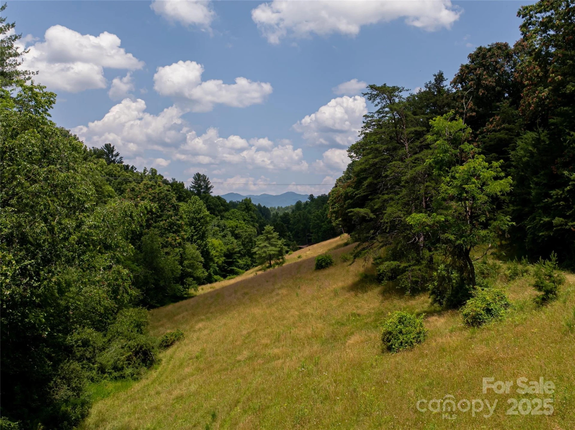 25 Elkins Branch Road - Photo 46