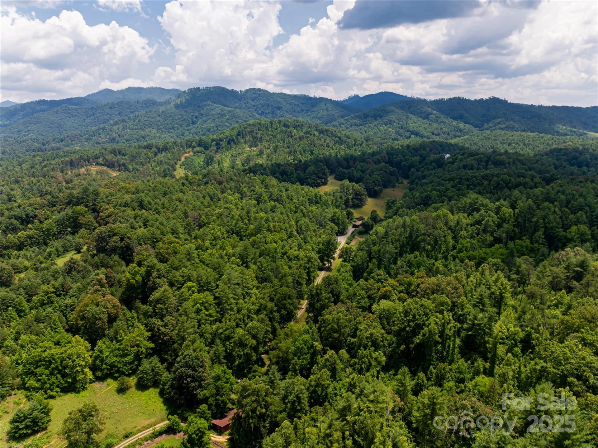25 Elkins Branch Road - Photo 47