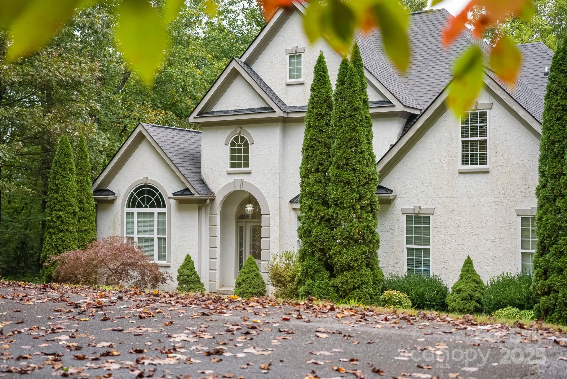 45 Brown Bear Ridge Trail - Photo 2