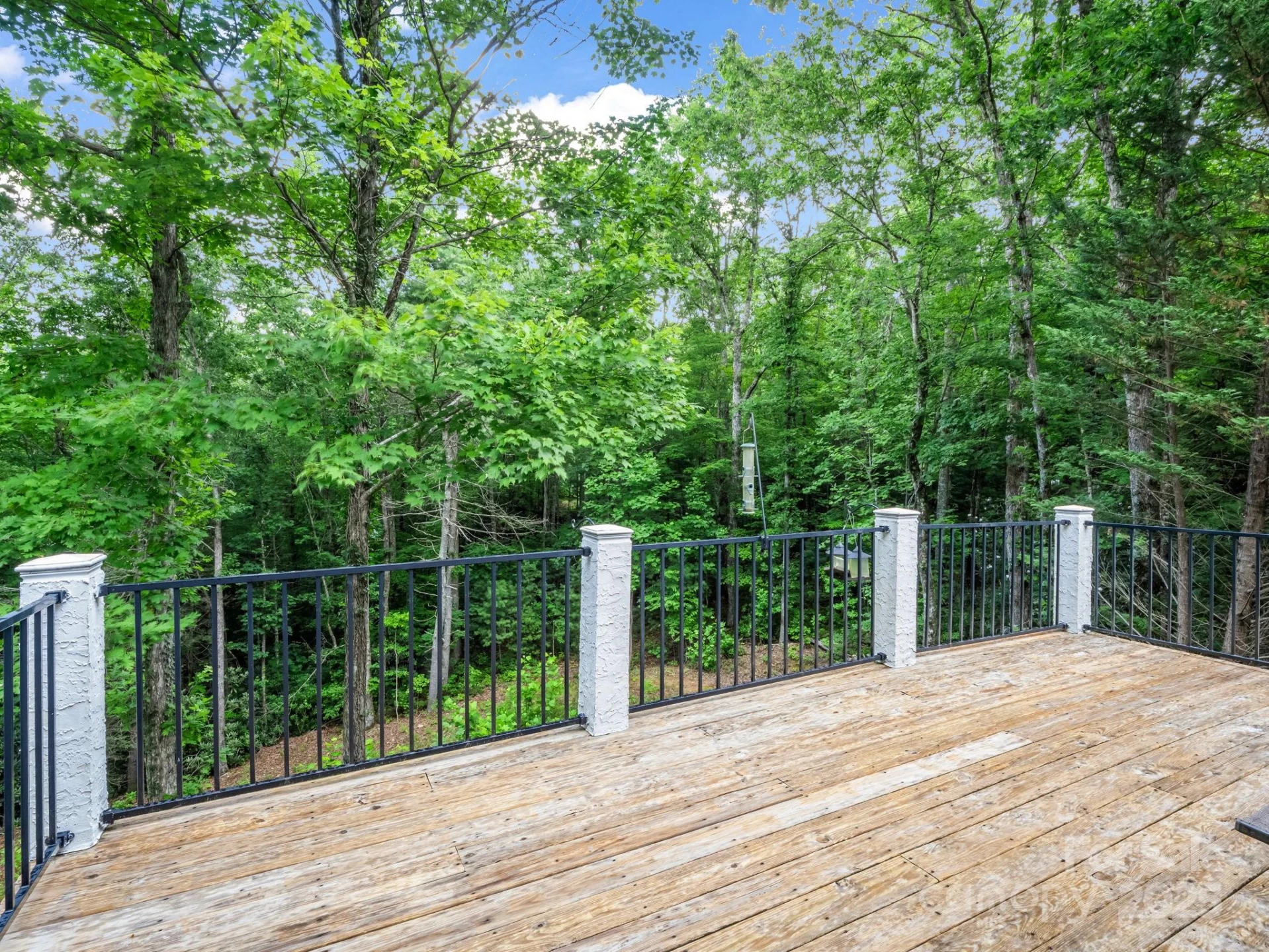 45 Brown Bear Ridge Trail - Photo 42