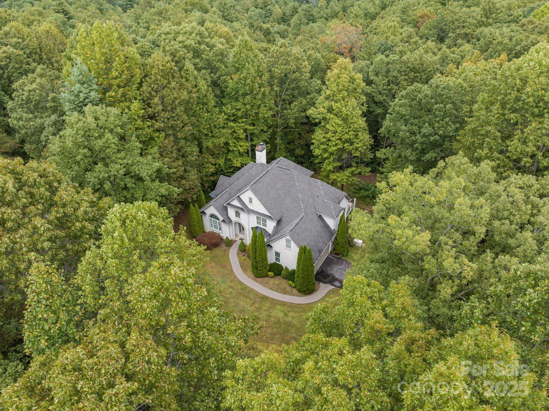 45 Brown Bear Ridge Trail - Photo 45