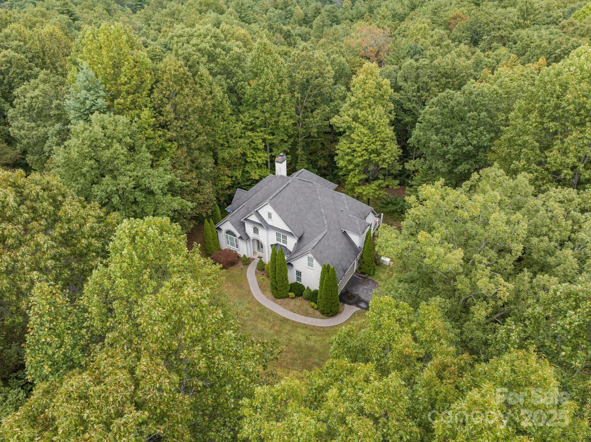 45 Brown Bear Ridge Trail - Photo 45