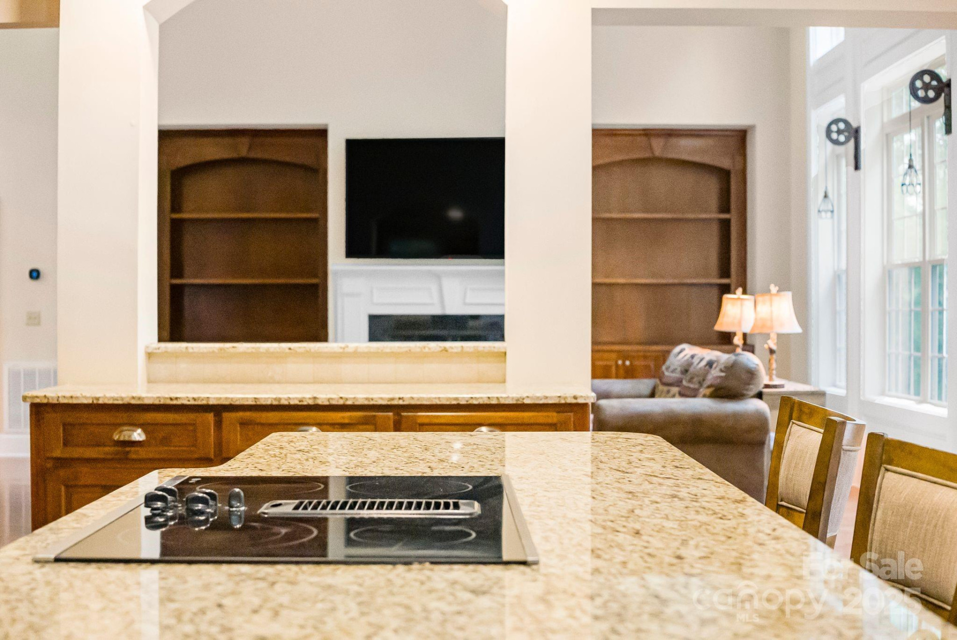 45 Brown Bear Ridge Trail - Photo 8