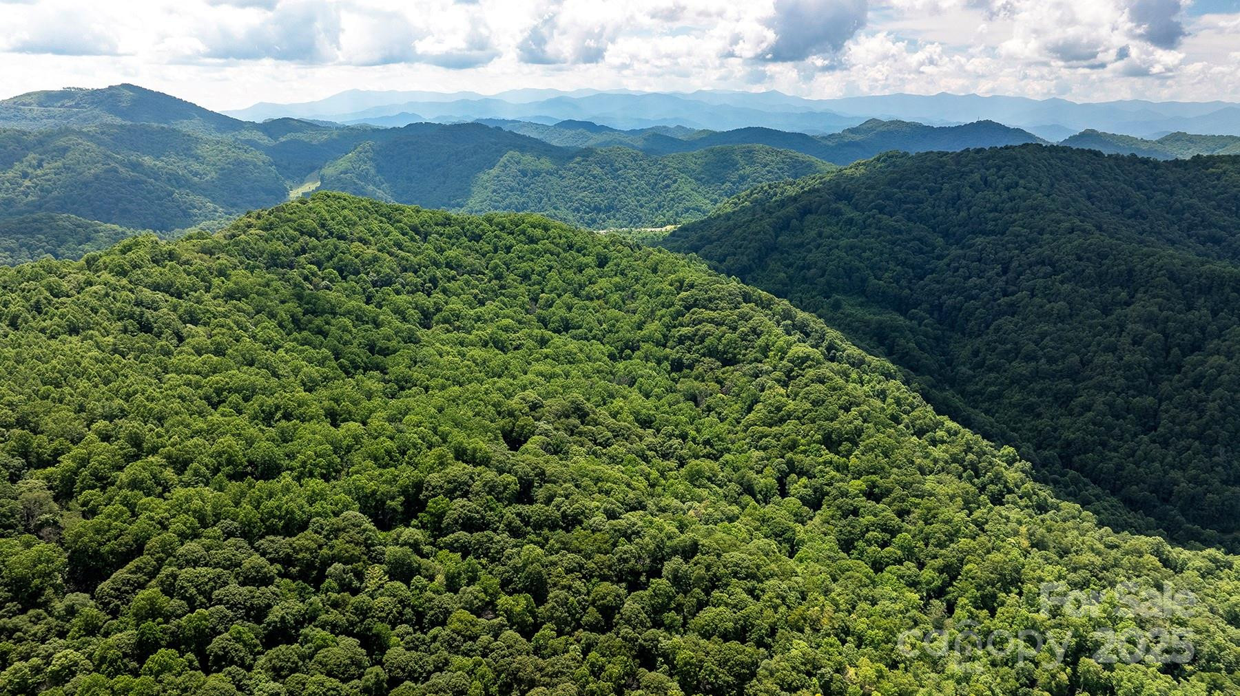 1710 Roaring Fork Road - Photo 2