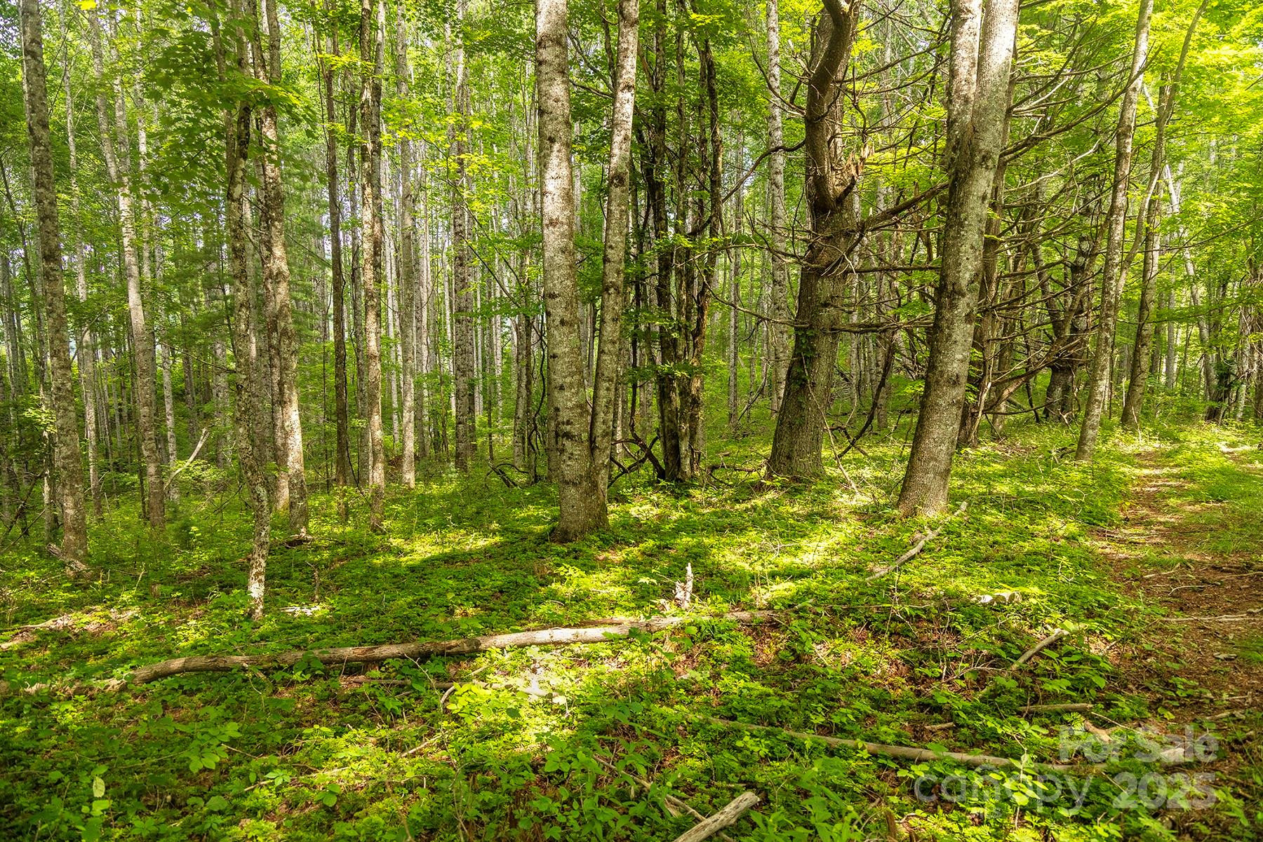 1710 Roaring Fork Road - Photo 18