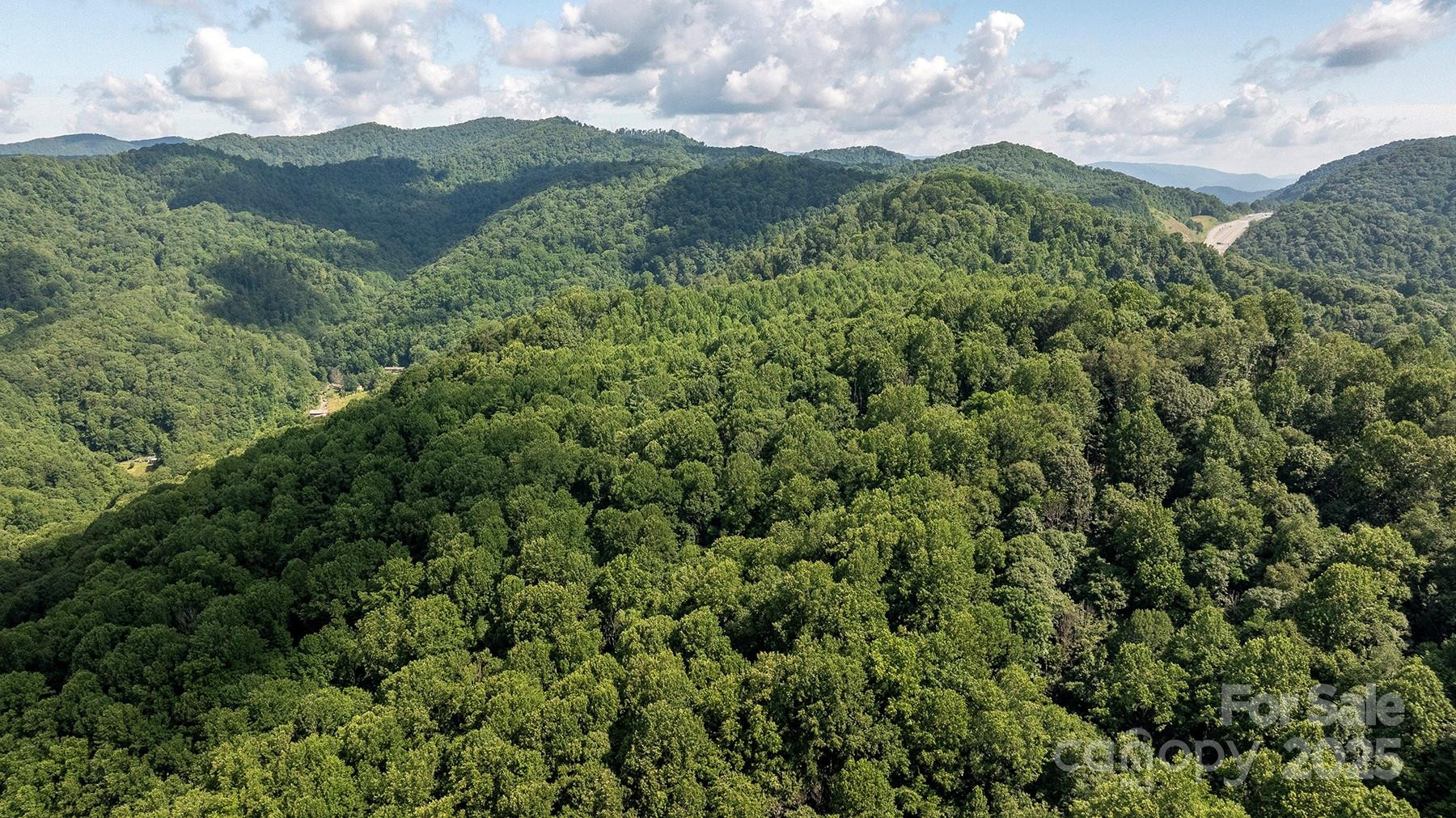 1710 Roaring Fork Road - Photo 4