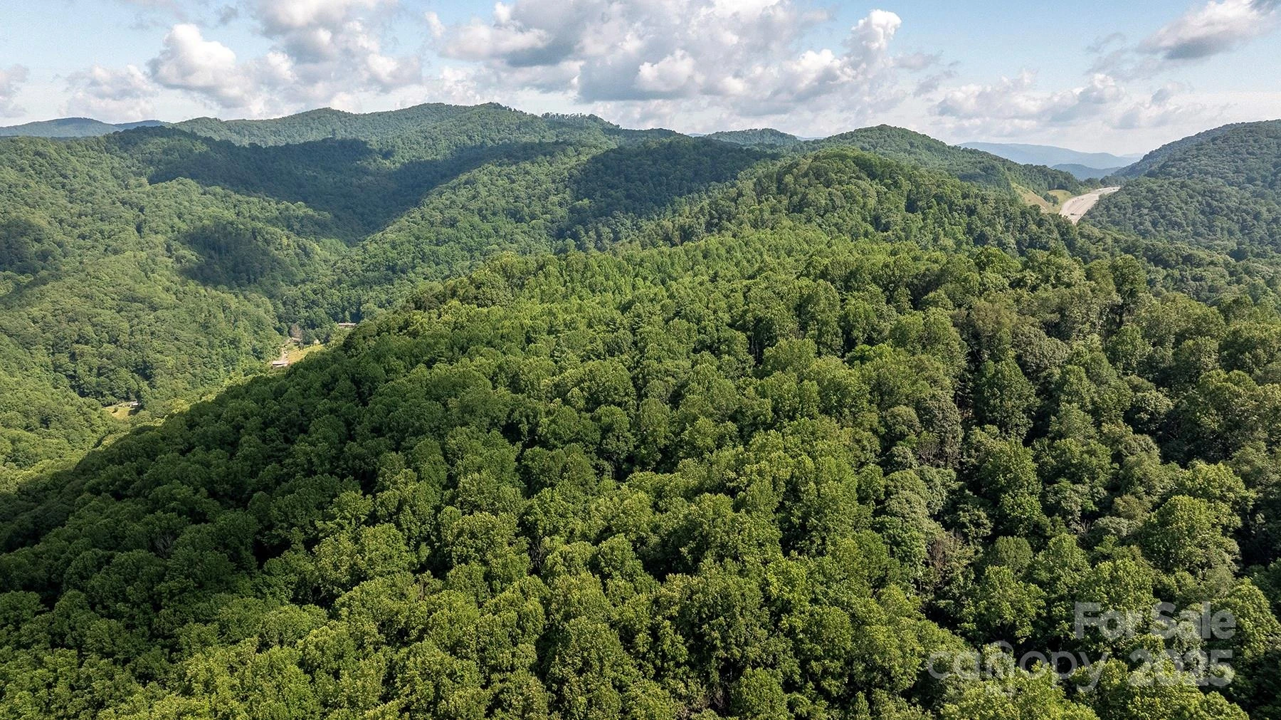 1710 Roaring Fork Road - Photo 4