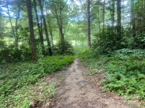 0 Mountain River Place - Photo 11