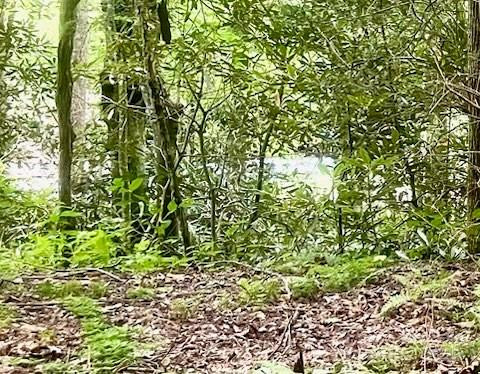 0 Mountain River Place - Photo 13