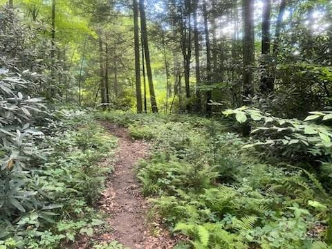 0 Mountain River Place - Photo 14