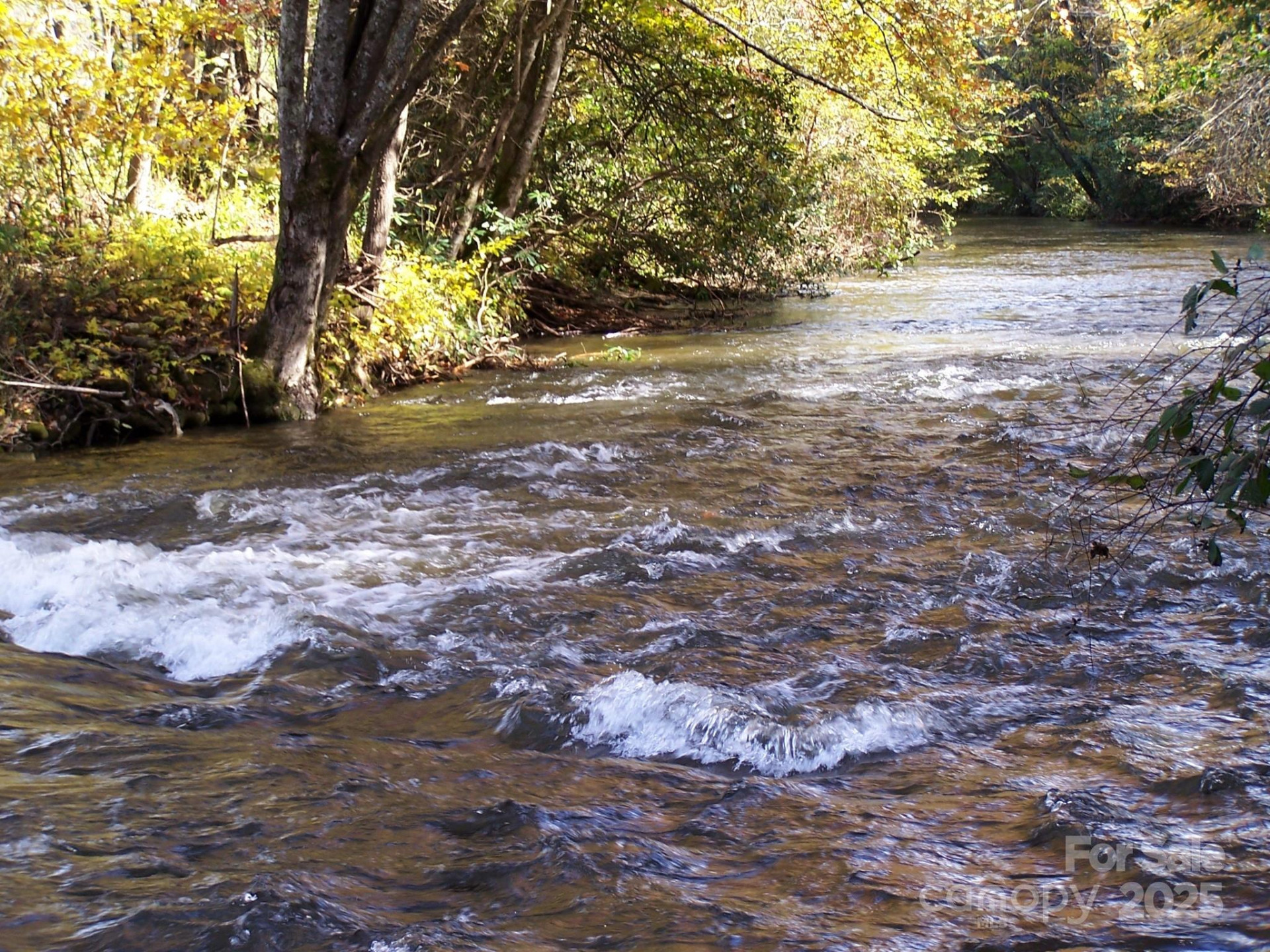 0 Mountain River Place - Photo 6