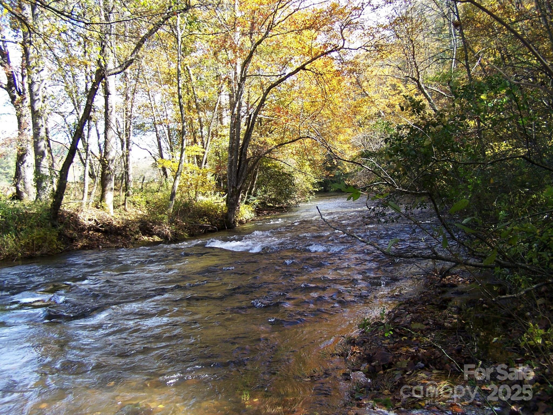 0 Mountain River Place - Photo 7