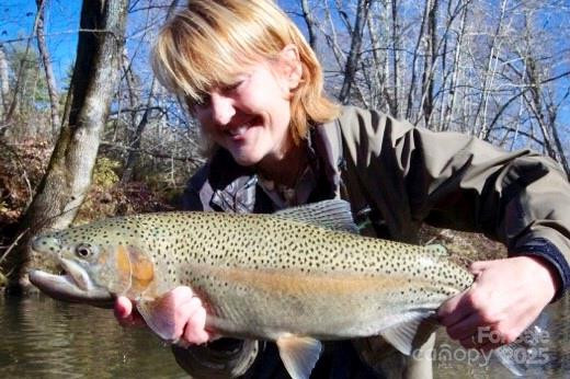 0 Mountain River Place - Photo 8