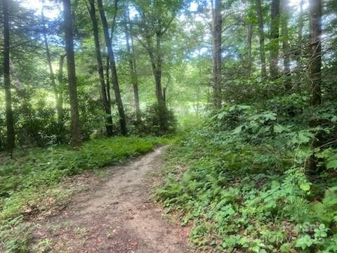 0 Mountain River Place - Photo 10