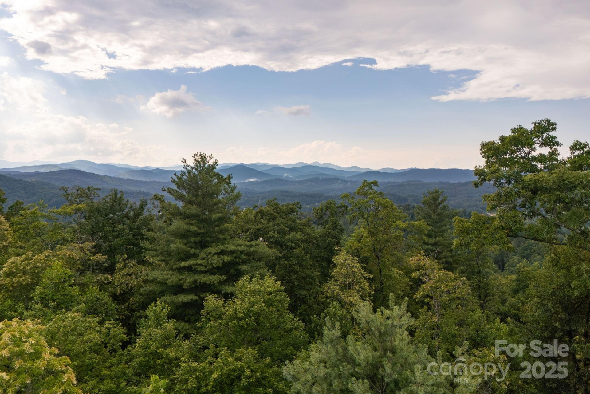 Lot # 1 Masterpiece View Drive #1 - Photo 12