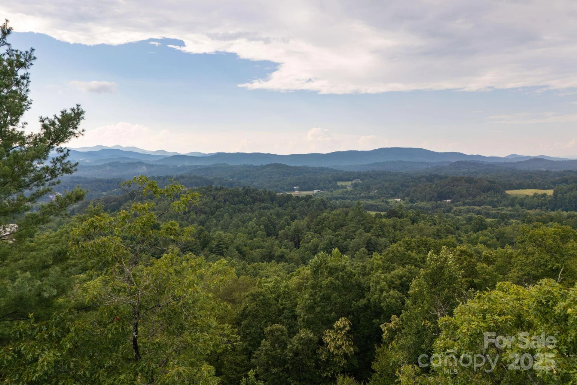 Lot # 1 Masterpiece View Drive #1 - Photo 13