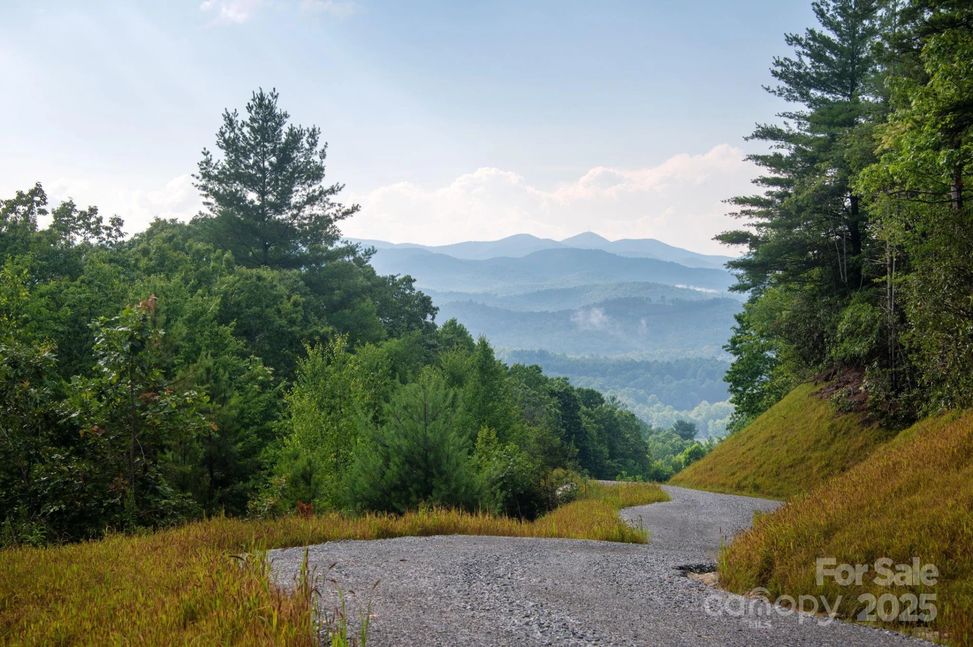 Lot # 1 Masterpiece View Drive #1 - Photo 14
