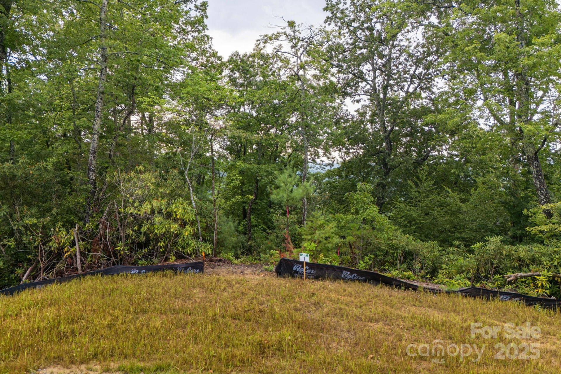 Lot # 1 Masterpiece View Drive #1 - Photo 3