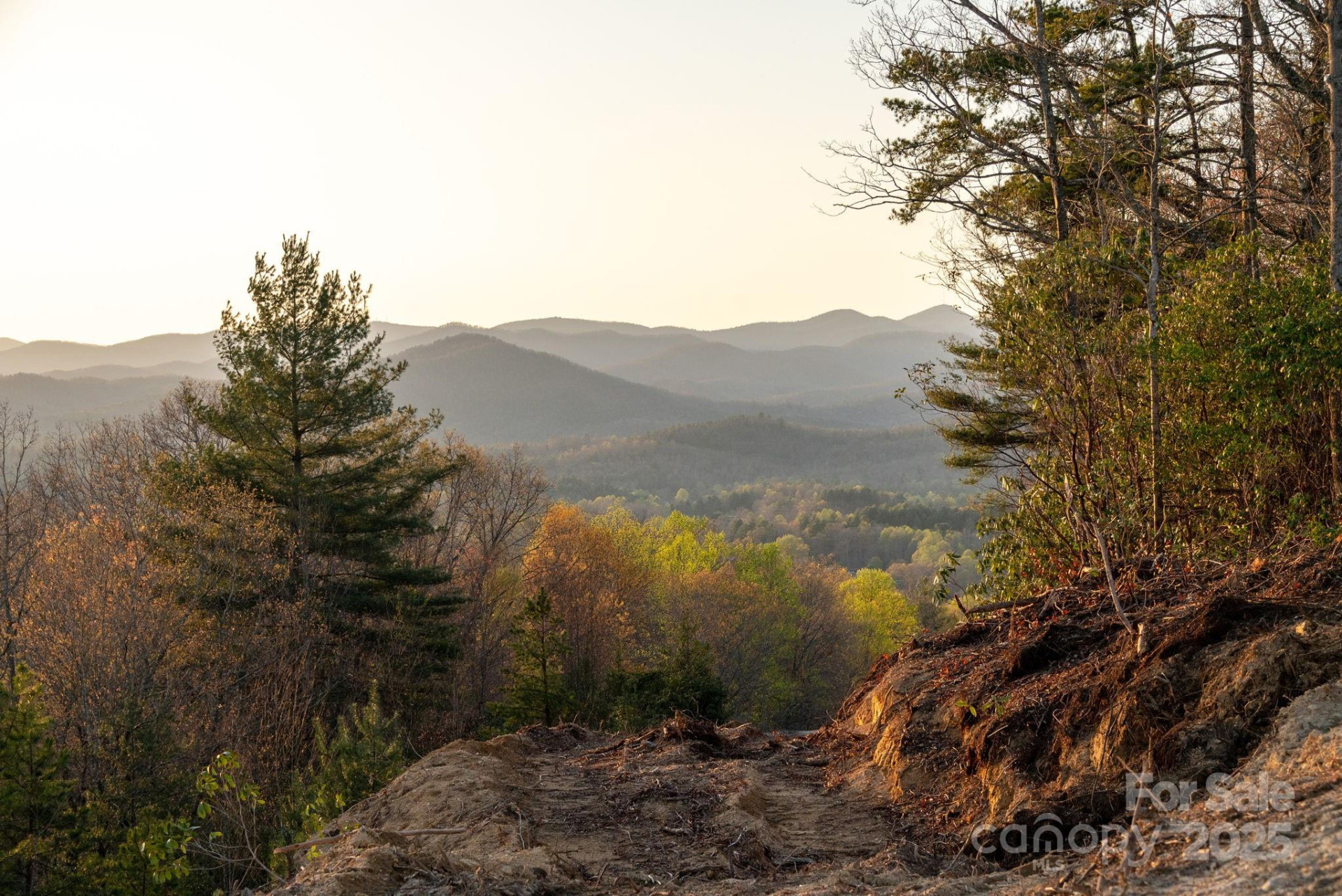 Lot # 1 Masterpiece View Drive #1 - Photo 24