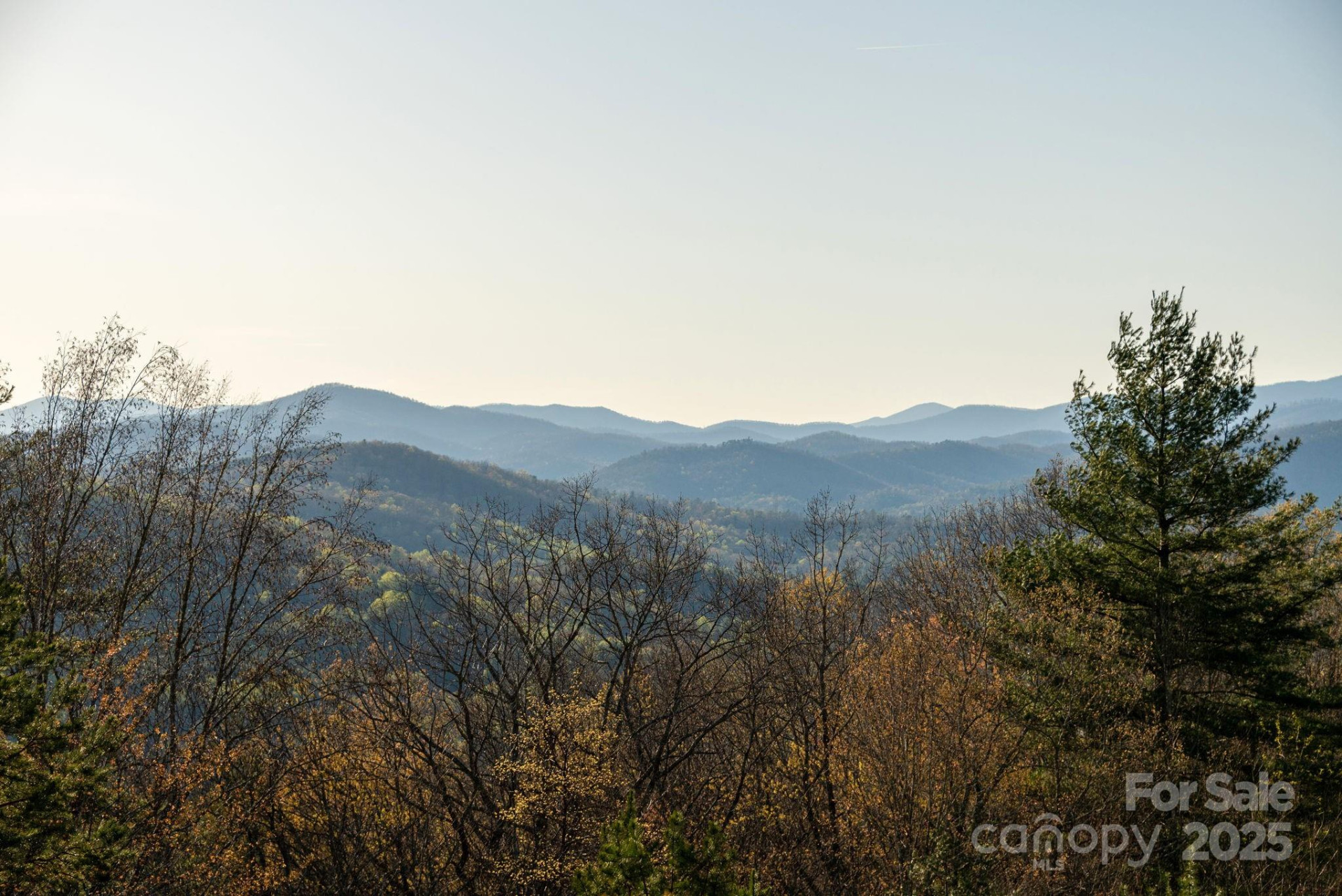 Lot # 1 Masterpiece View Drive #1 - Photo 28