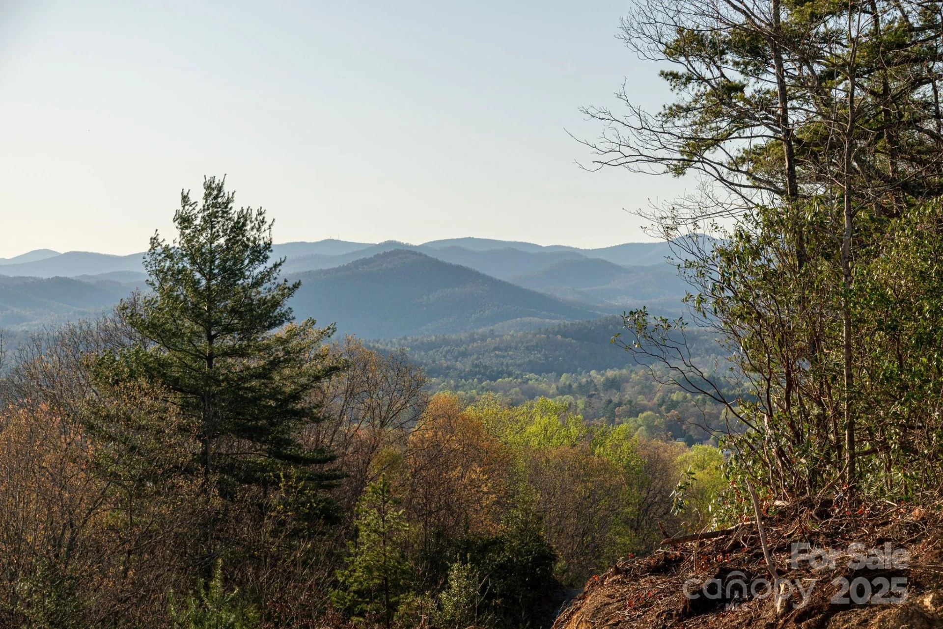 Lot # 1 Masterpiece View Drive #1 - Photo 29