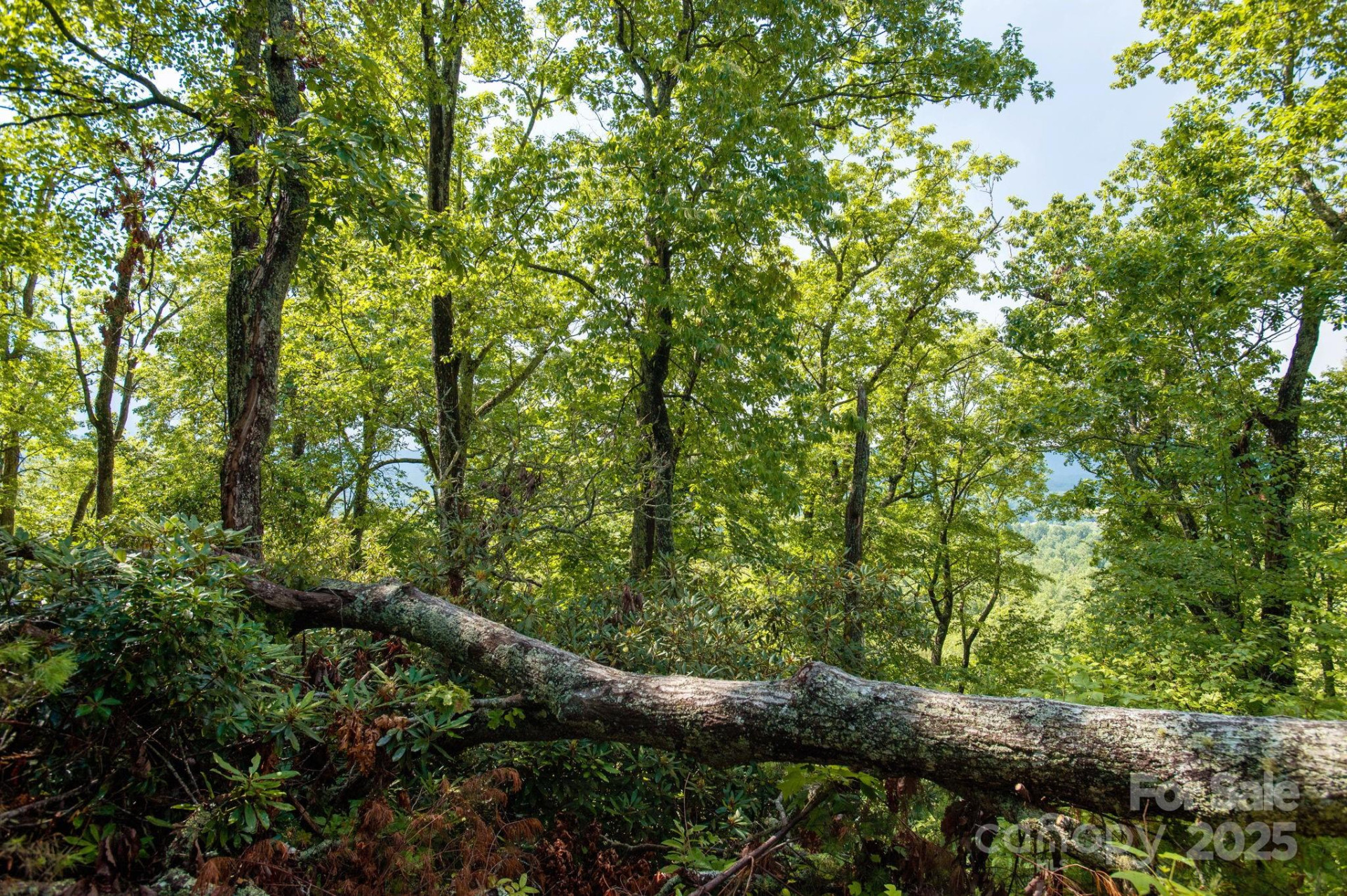 Lot # 1 Masterpiece View Drive #1 - Photo 4