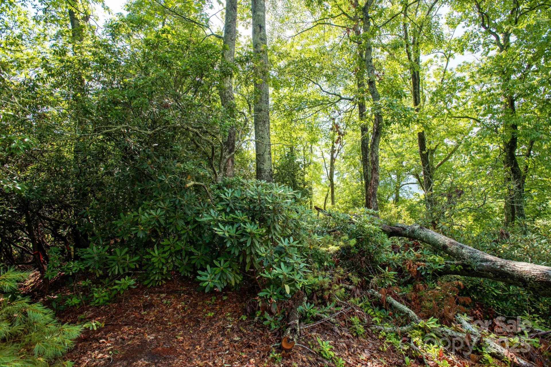 Lot # 1 Masterpiece View Drive #1 - Photo 31
