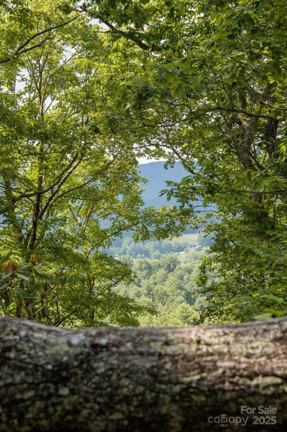 Lot # 1 Masterpiece View Drive #1 - Photo 33