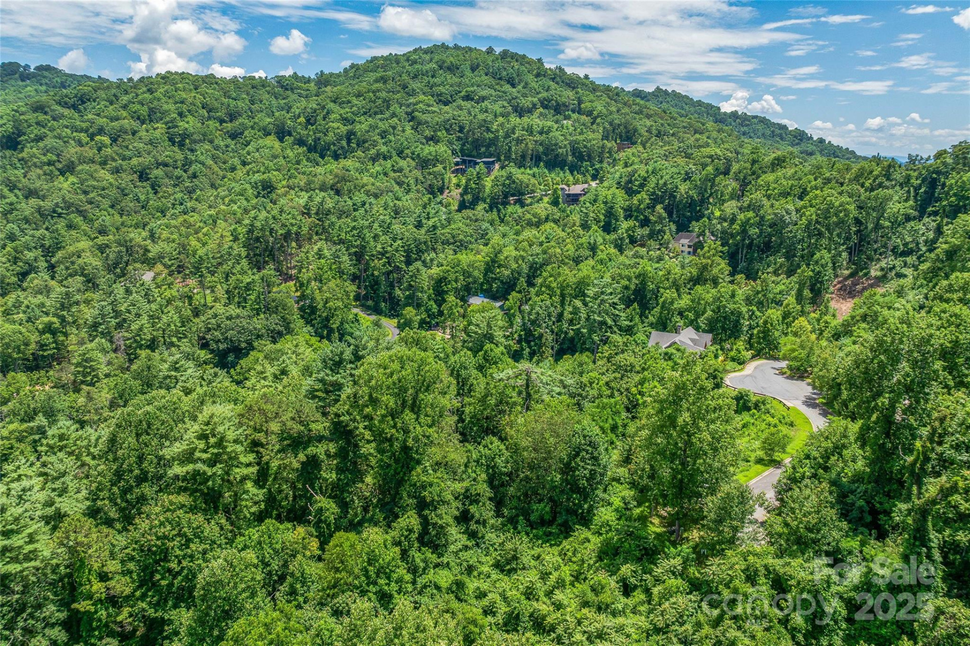 29 Grovepoint Way - Photo 12