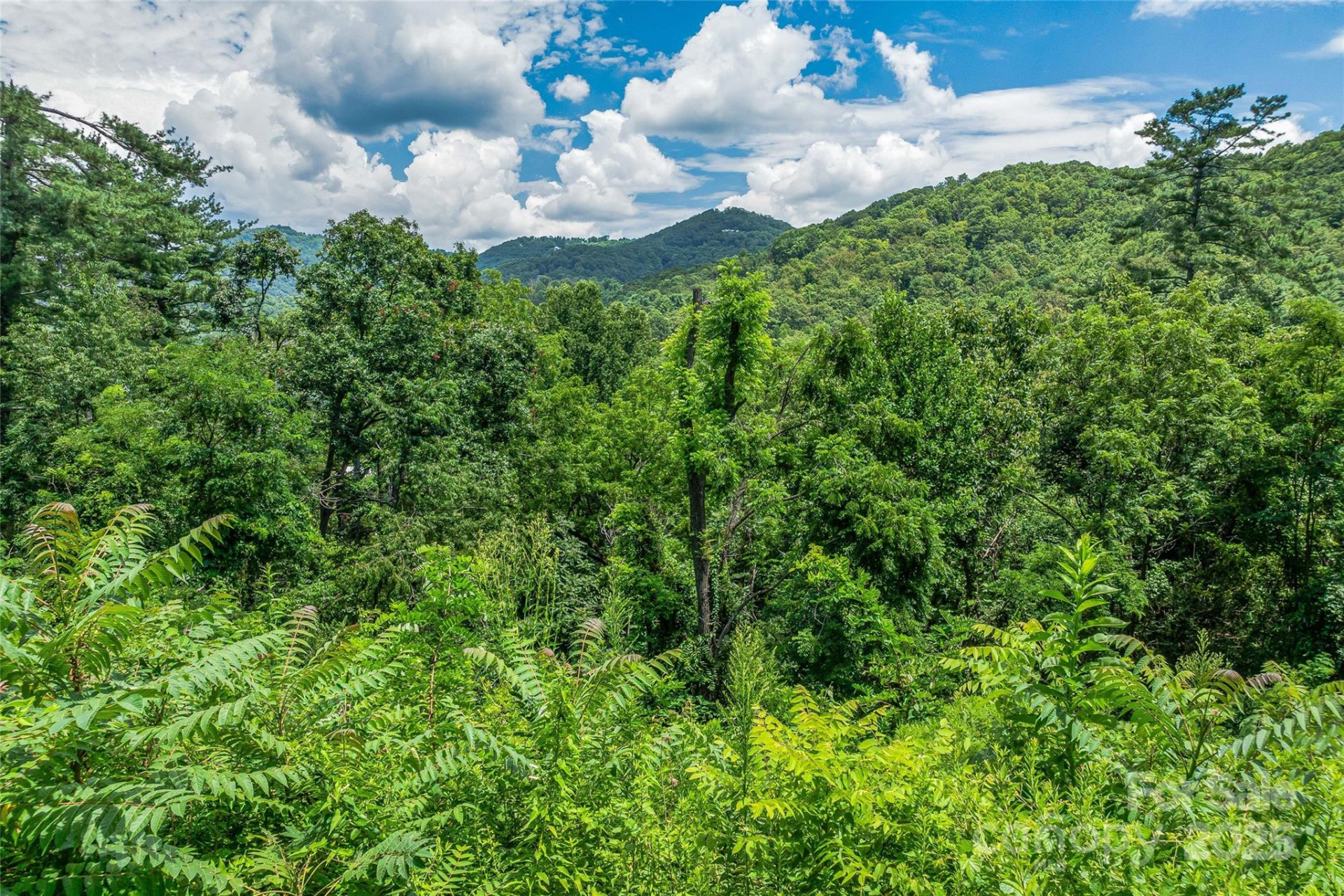 29 Grovepoint Way - Photo 17