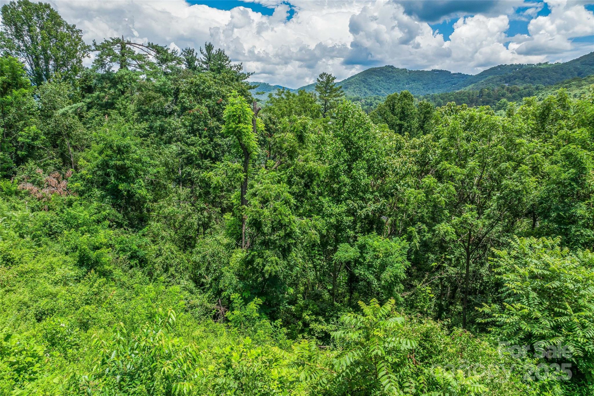 29 Grovepoint Way - Photo 22