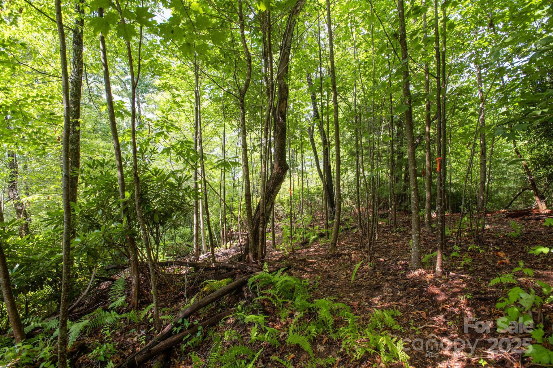 Lot # 2 Masterpiece View Drive #2 - Photo 15