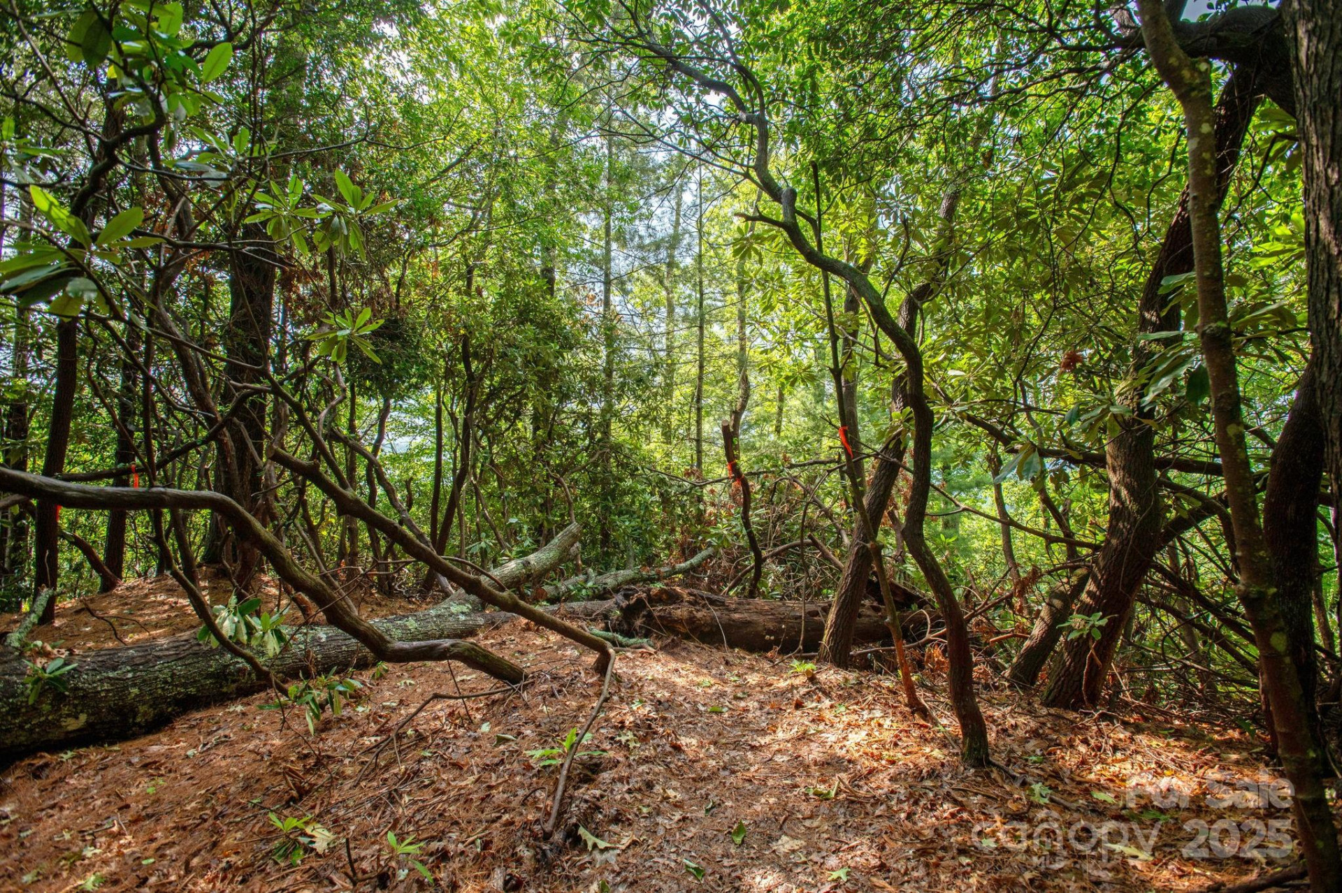 Lot # 2 Masterpiece View Drive #2 - Photo 16