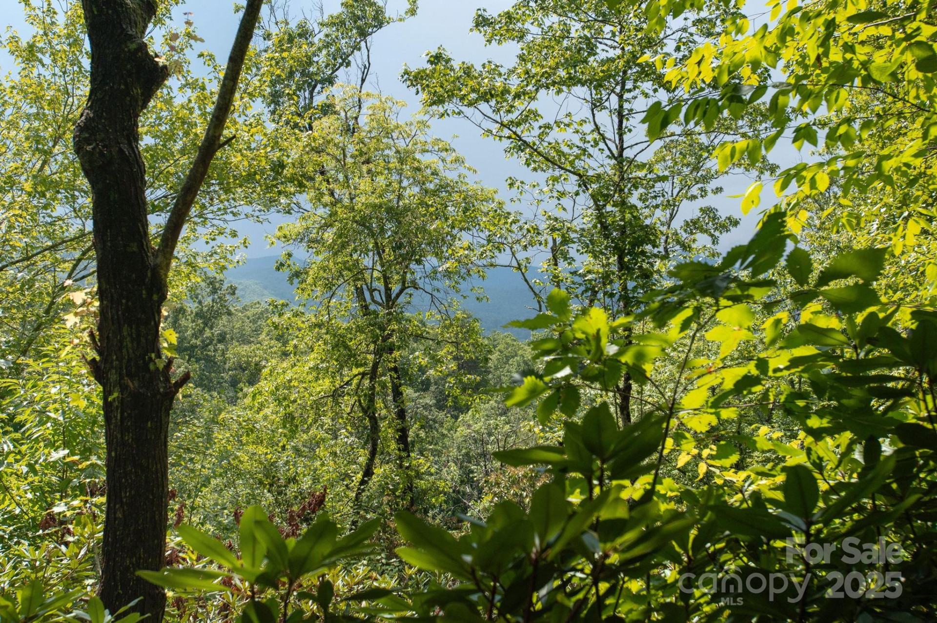 Lot # 2 Masterpiece View Drive #2 - Photo 3