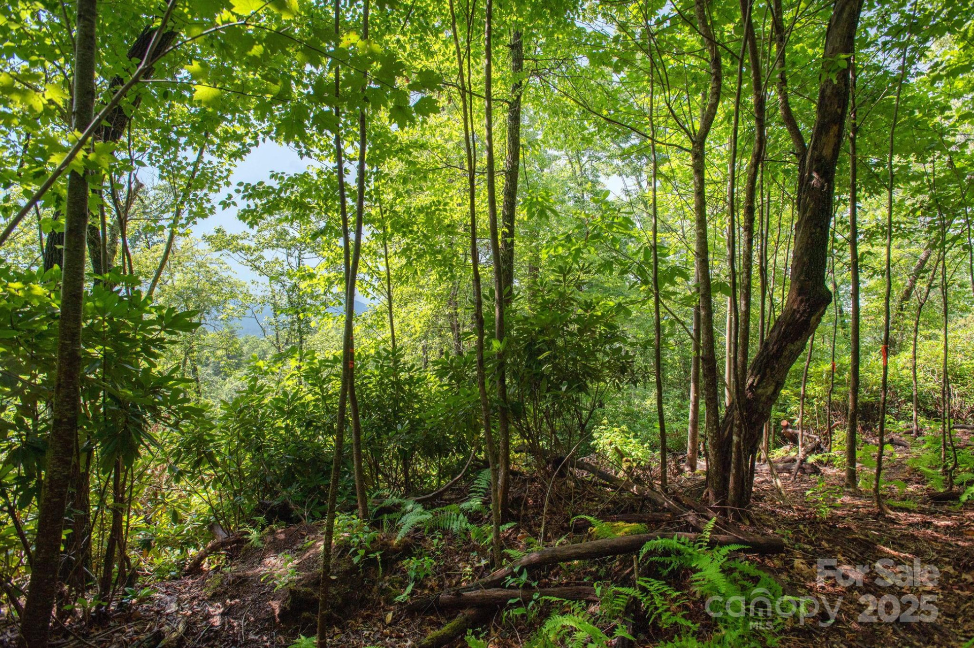 Lot # 2 Masterpiece View Drive #2 - Photo 4