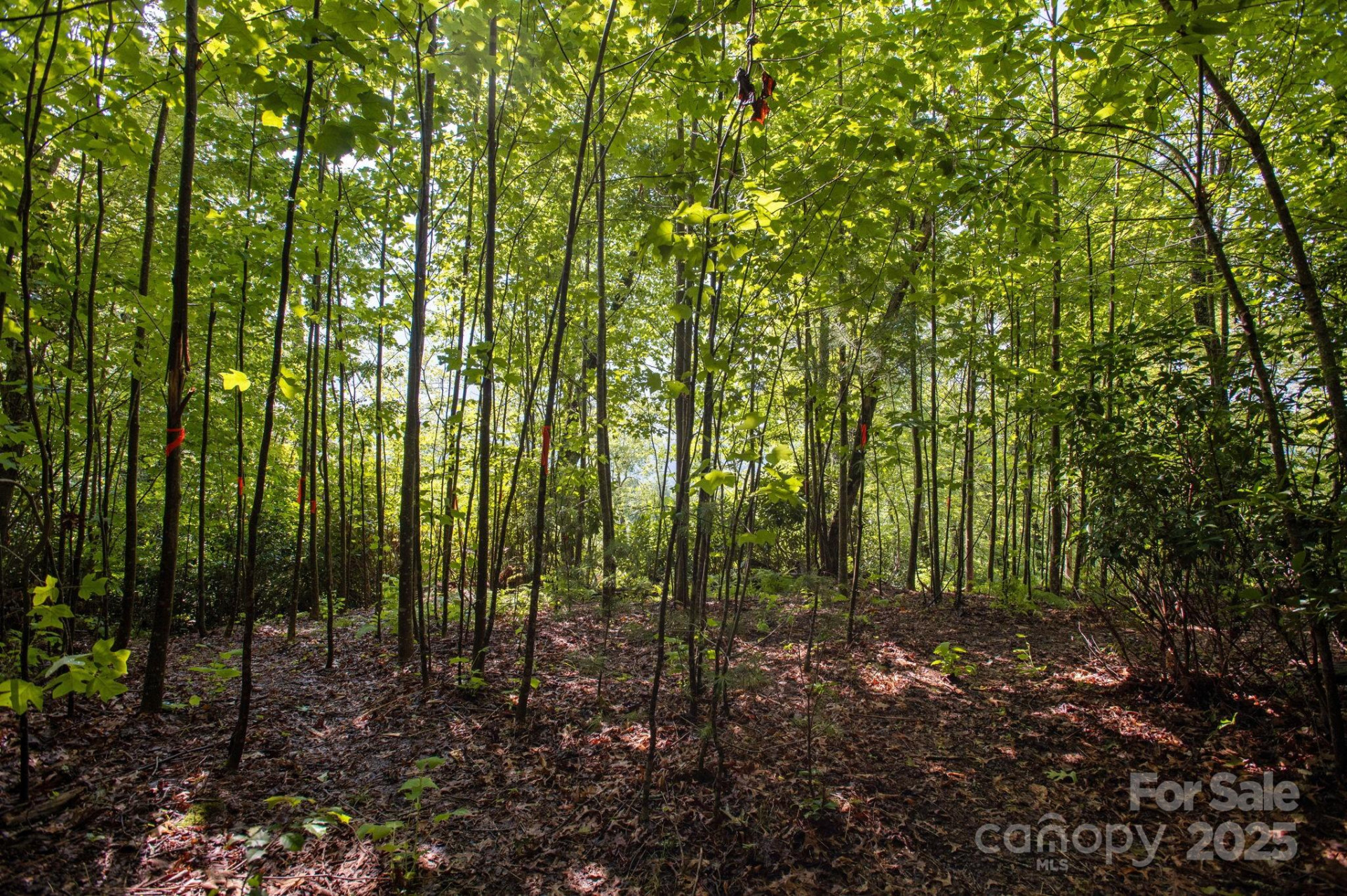 Lot # 2 Masterpiece View Drive #2 - Photo 6