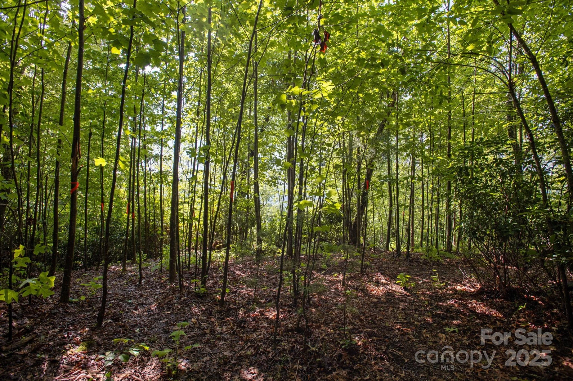 Lot # 2 Masterpiece View Drive #2 - Photo 6