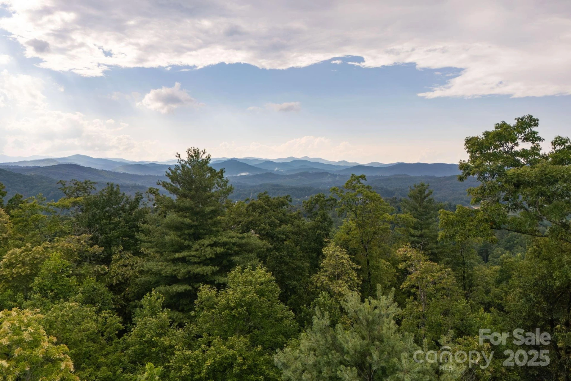 Lot # 3 Masterpiece View Drive #3 - Photo 14