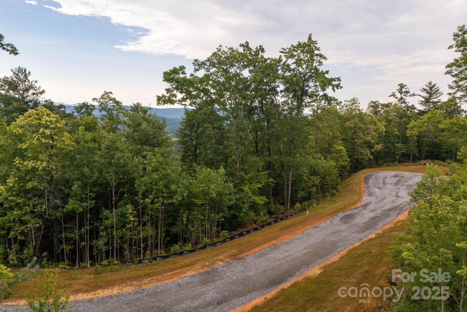 Lot # 3 Masterpiece View Drive #3 - Photo 4