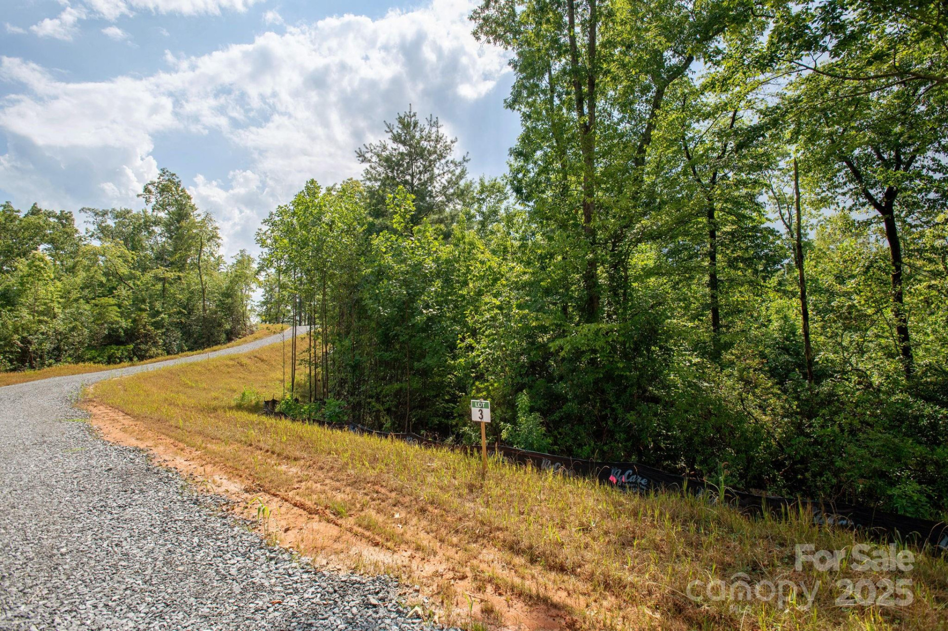 Lot # 3 Masterpiece View Drive #3 - Photo 6