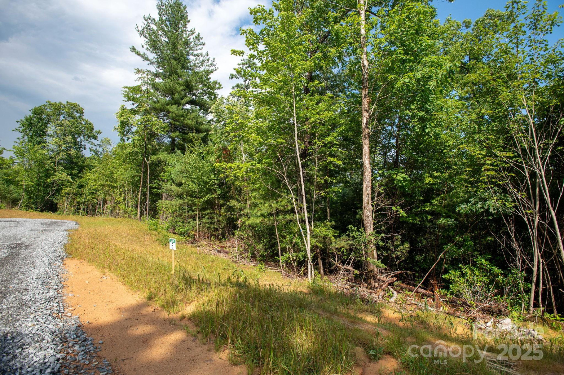 Lot # 5 Masterpiece View Drive #5 - Photo 3