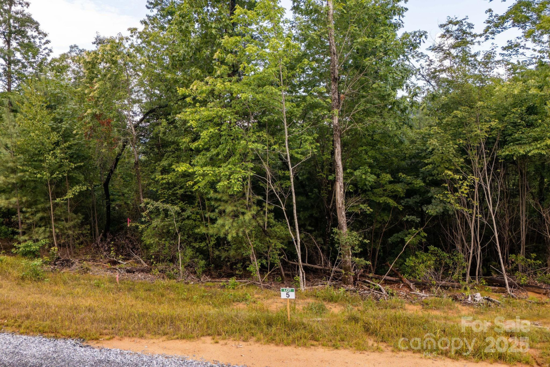 Lot # 5 Masterpiece View Drive #5 - Photo 4