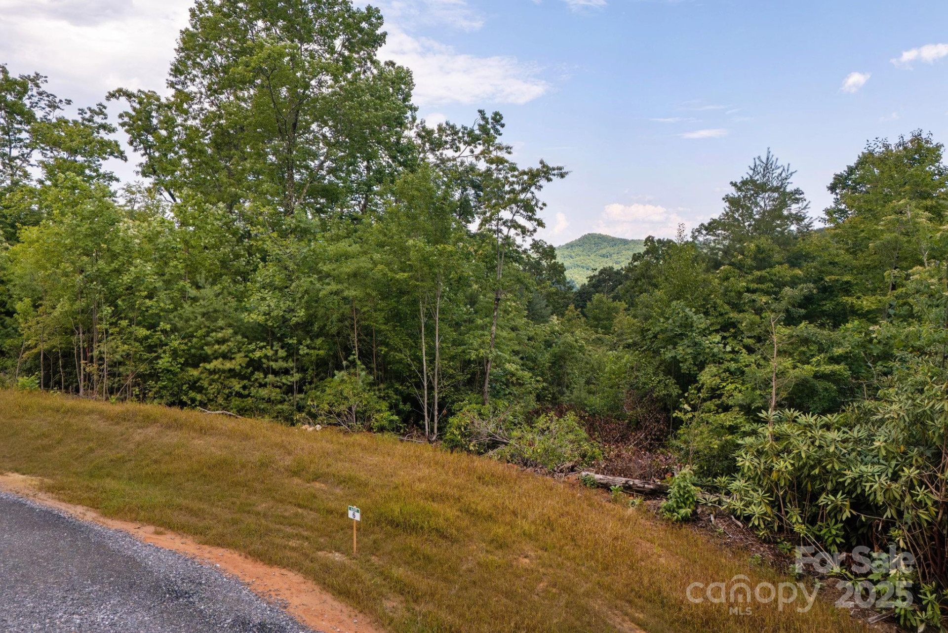 Lot # 6 Masterpiece View Drive #6 - Photo 6